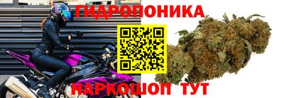jwh Гай