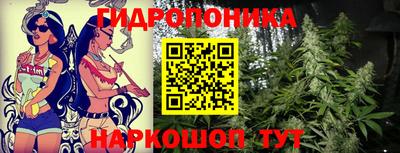 твердый Гатчина